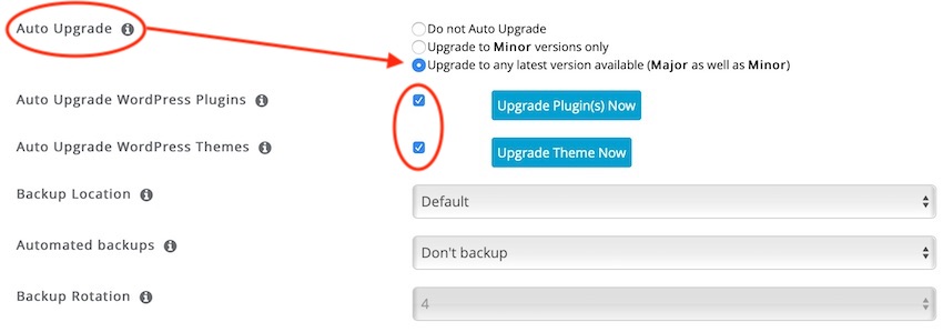 Auto Update WordPress